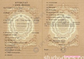 Аттестат 8 классов Аттестат 8 классов в Южно-Сахалинске