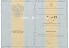 Диплом специалиста 2012-2013 в Южно-Сахалинске